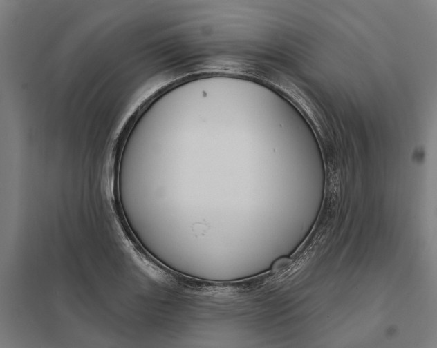 X0000097851131200803281242