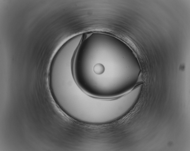 X0000097851132200803281242