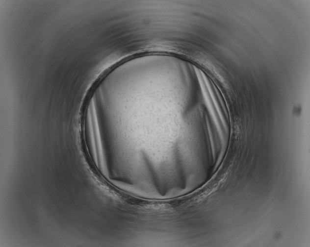 X0000097851133200803281242