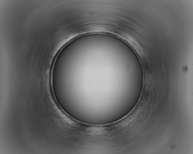 X0000097851134200803281242