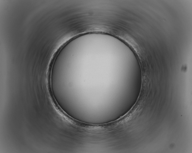 X0000097851135200803281242