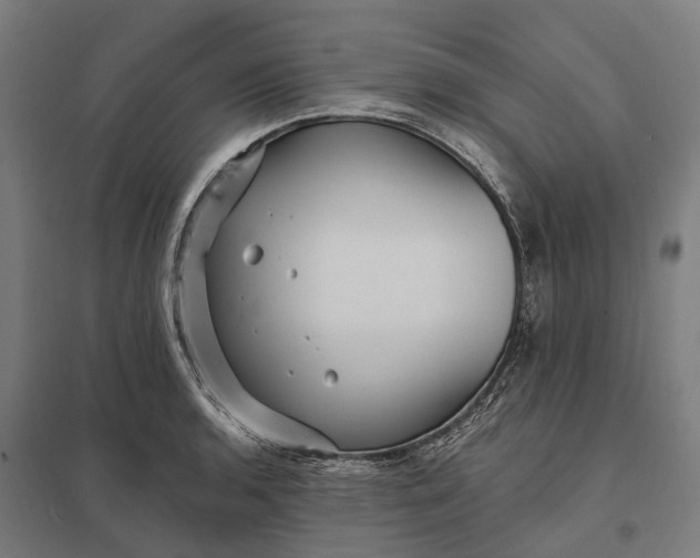 X0000097851136200803281242