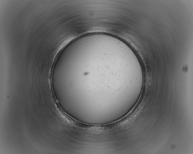 X0000097851137200803281242