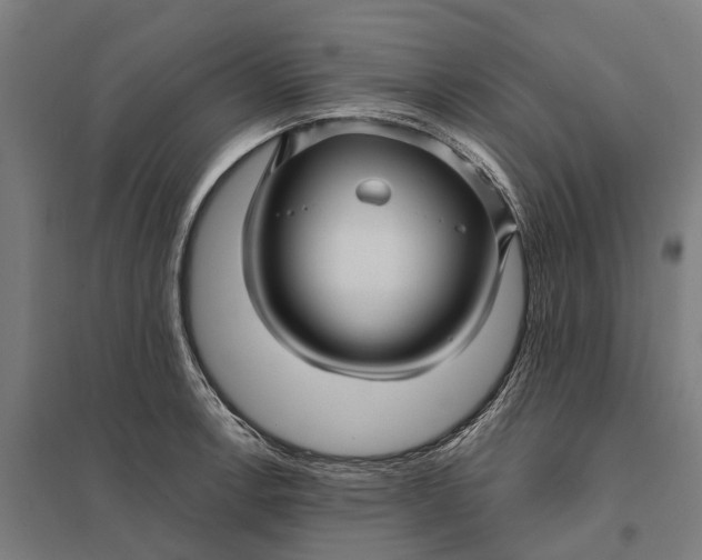 X0000097851138200803281242