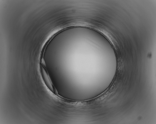 X0000097851139200803281242