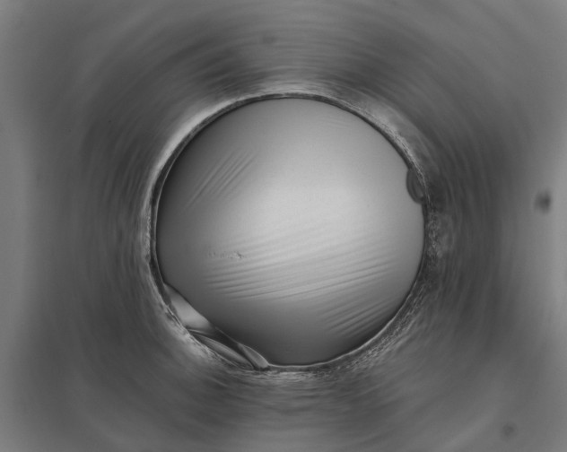 X0000097851140200803281242