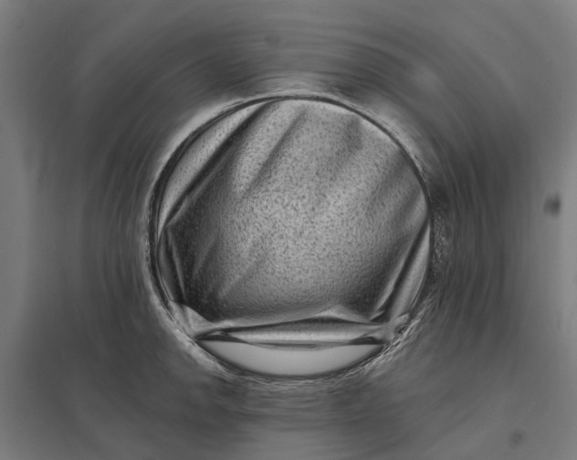 X0000097851142200803281242