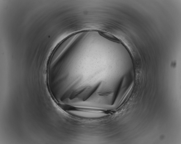 X0000097851143200803281242