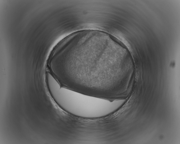 X0000097851144200803281242