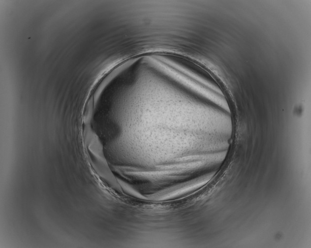 X0000097851145200803281242