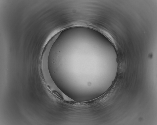 X0000097851146200803281242