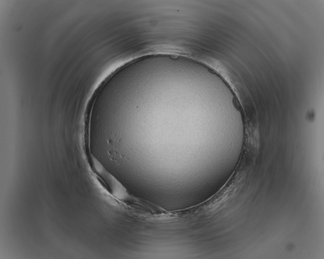 X0000097851147200803281242