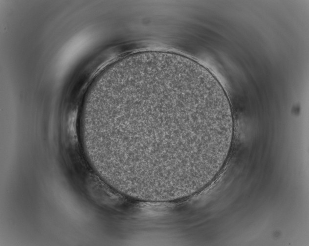 X0000097851150200803281242