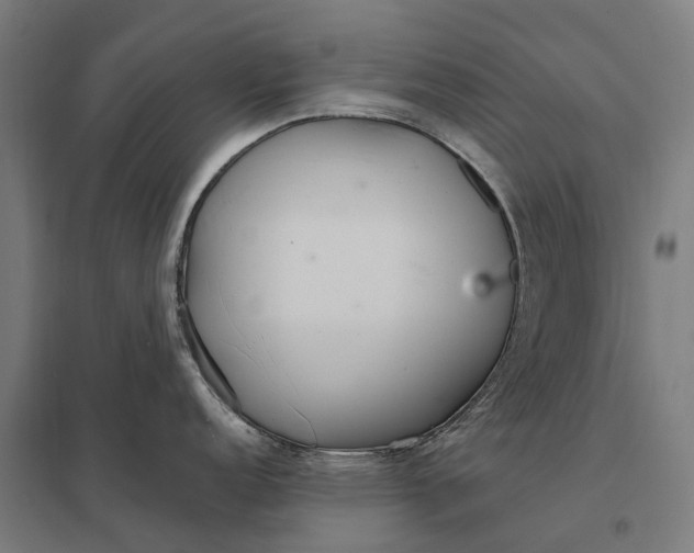 X0000097851152200803281242