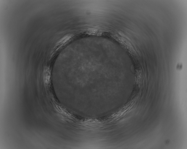 X0000097851154200803281241