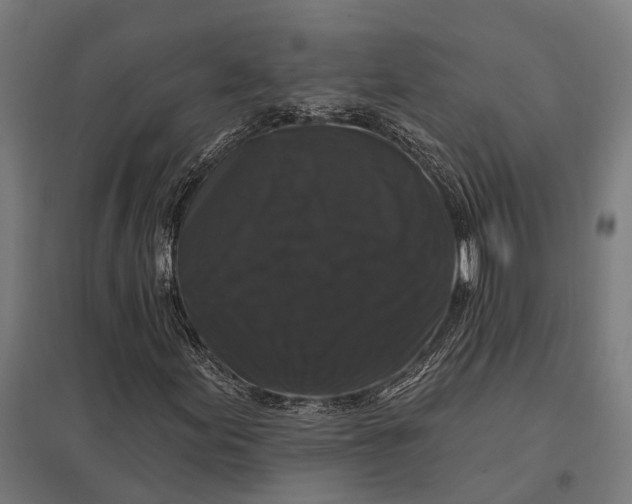 X0000097851155200803281241