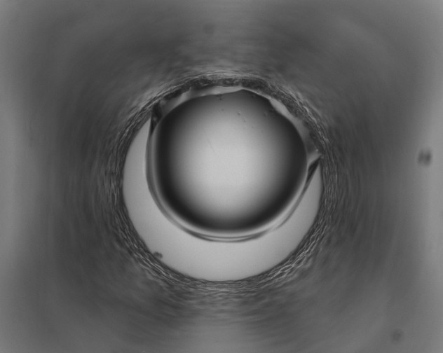 X0000097851157200803281241