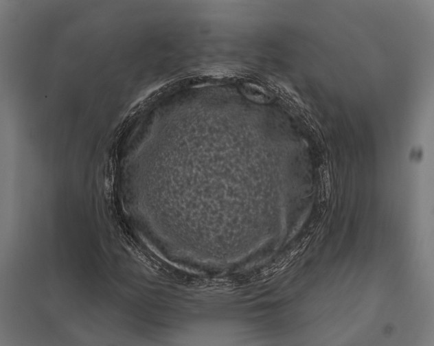 X0000097851158200803281241