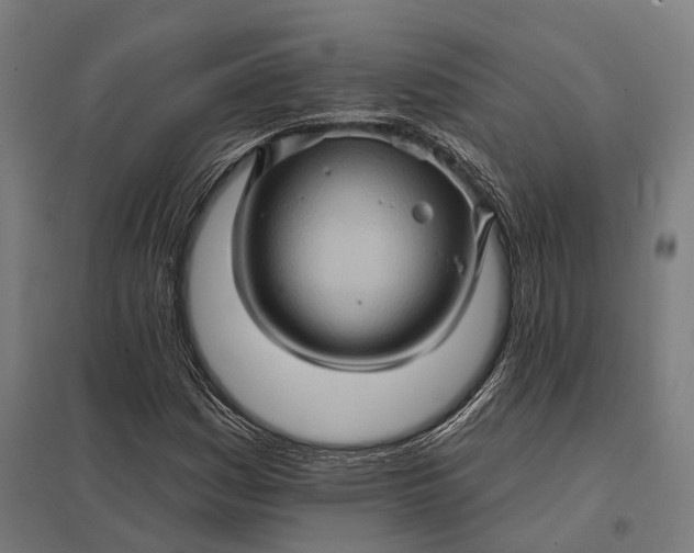 X0000097851161200803281241