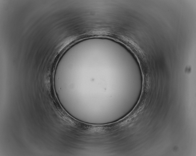 X0000097851162200803281241