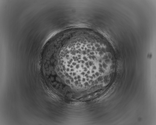 X0000097851163200803281241