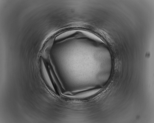 X0000097851164200803281241