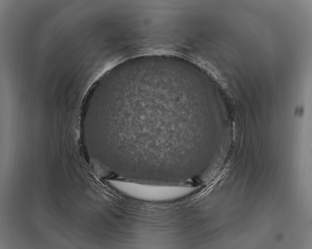 X0000097851165200803281241