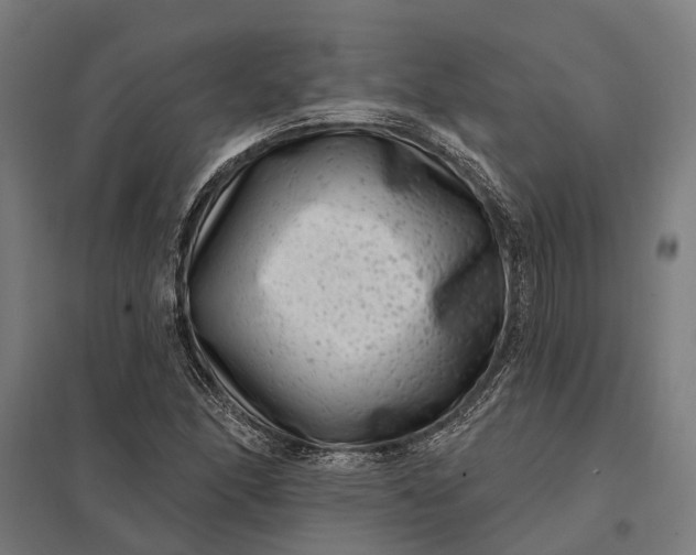 X0000097851166200803281241