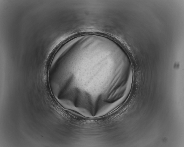 X0000097851167200803281241