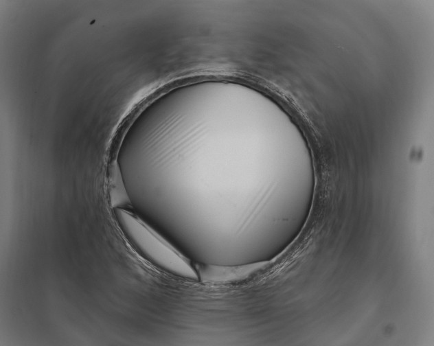 X0000097851168200803281241