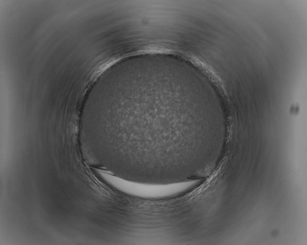 X0000097851169200803281241