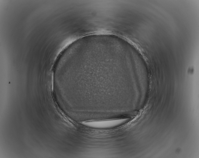 X0000097851171200803281241