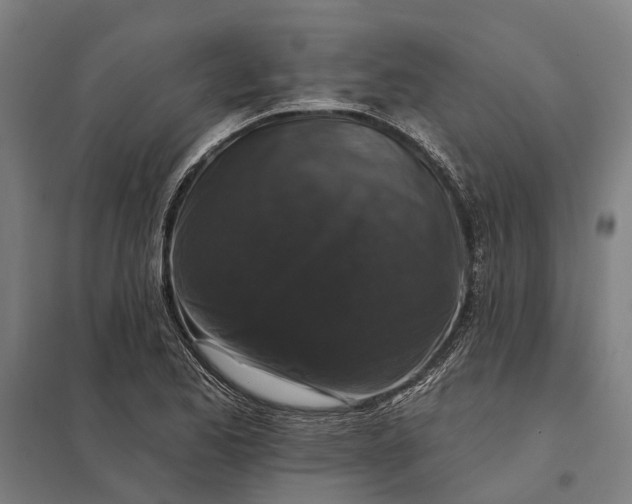 X0000097851173200803281241