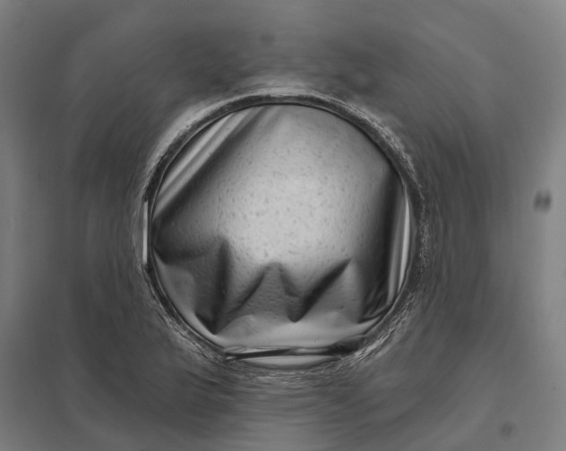 X0000097851175200803281241