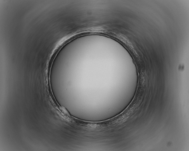 X0000097851176200803281241