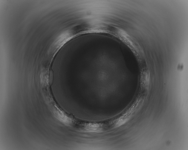 X0000097851177200803281241