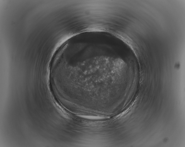 X0000097851179200803281241