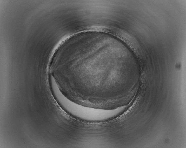 X0000097851180200803281241