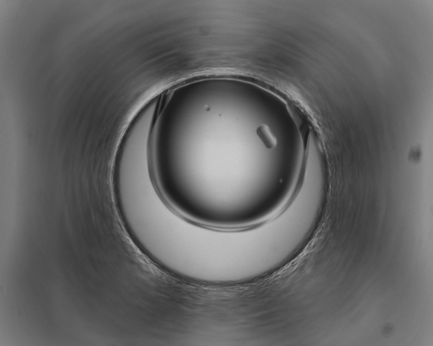 X0000097851181200803281241