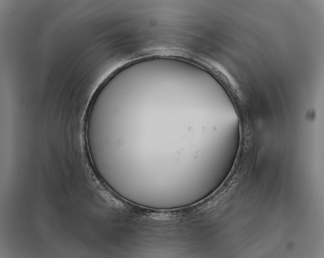 X0000097851182200803281241