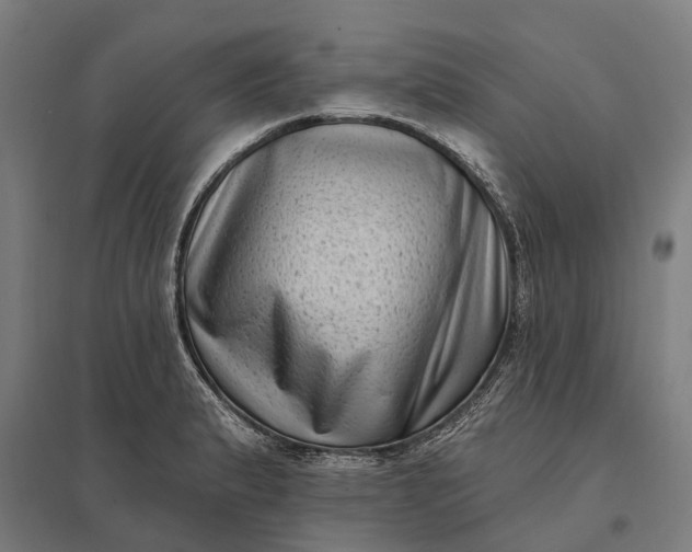 X0000097851183200803281241