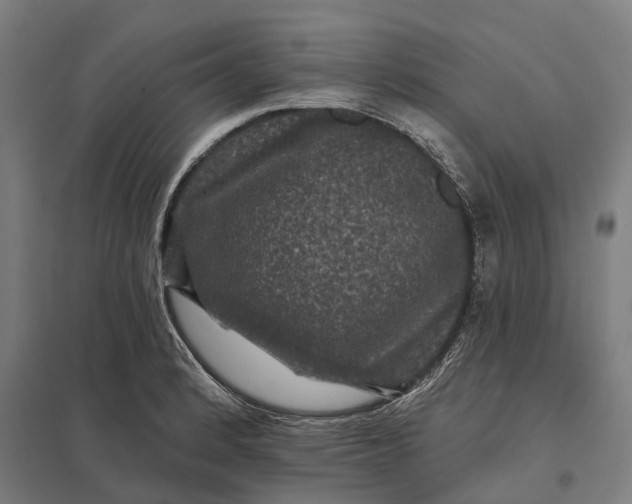 X0000097851184200803281241