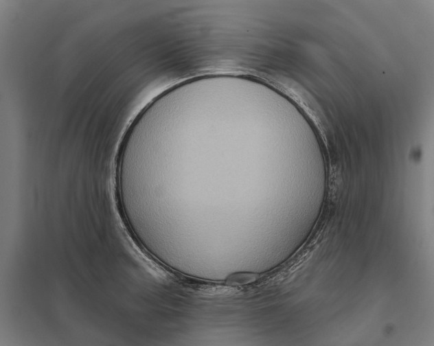 X0000097851187200803281241