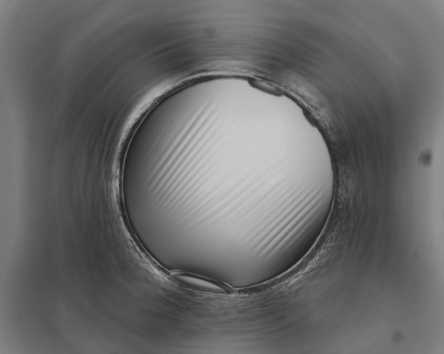 X0000097851188200803281241