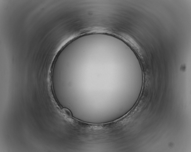 X0000097851190200803281241