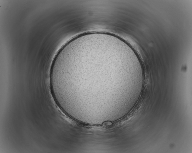 X0000097851191200803281241