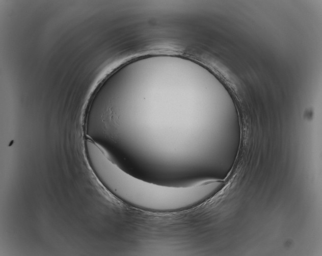 X0000097851192200803281240