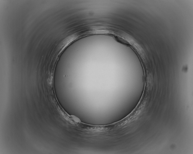 X0000097851193200803281240