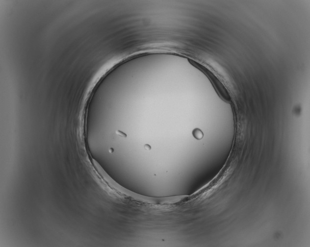 X0000097851196200803281240