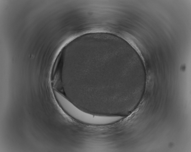 X0000097851197200803281240